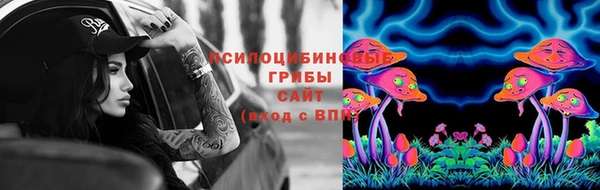 молекула духа Абинск