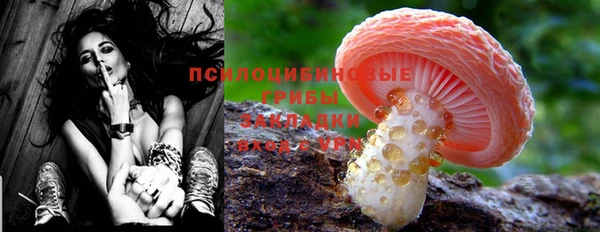 бошки Абдулино