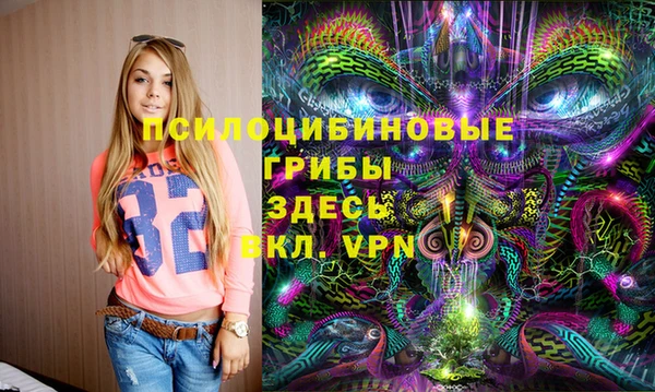 молекула духа Абинск