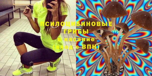 молекула духа Абинск